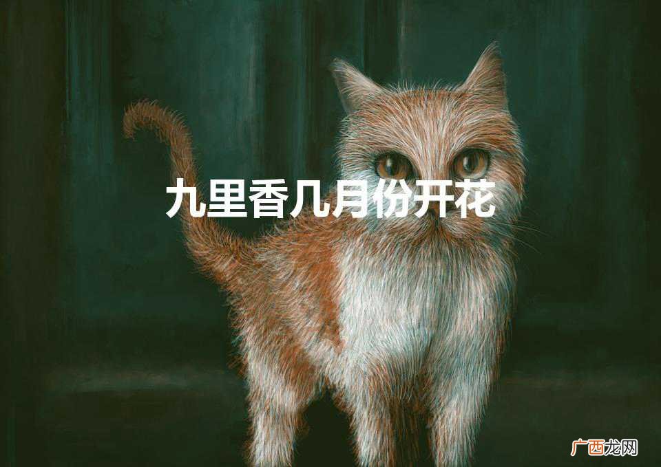 九里香几月份开花（为什么说九里香是鬼树)