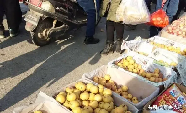 哪里的梨好吃又有名 哪种梨有着梨中之王的称号
