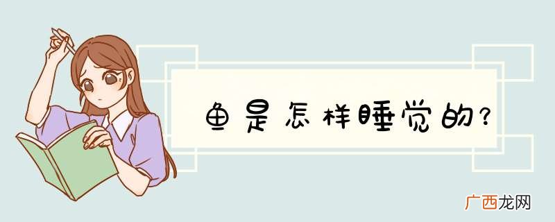 鱼是怎样睡觉的？