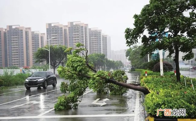 ?台风泰利预计今夜登陆我国 要如何预防呢