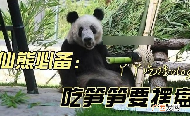 丫丫吃的笋笋套着竹篓 对人们有哪些启示