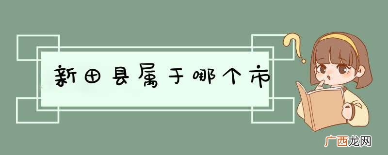 新田县属于哪个市