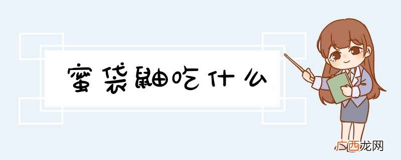 蜜袋鼬吃什么