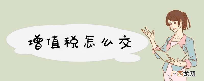增值税怎么交