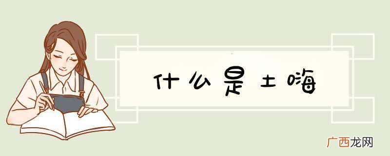 什么是土嗨