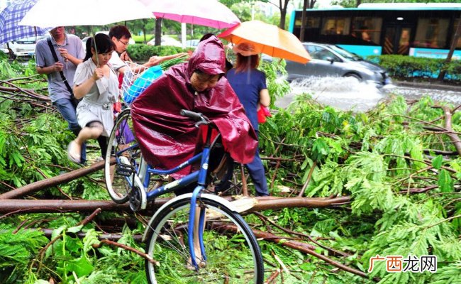 台风天符合条件员工可拒绝上班 是一种人性化的就业政策吗