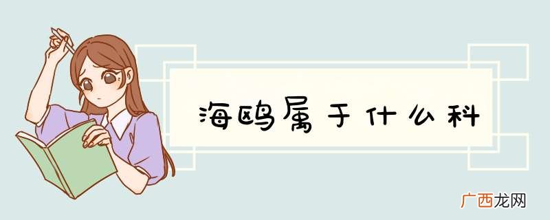 海鸥属于什么科