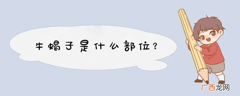 牛蝎子是什么部位？