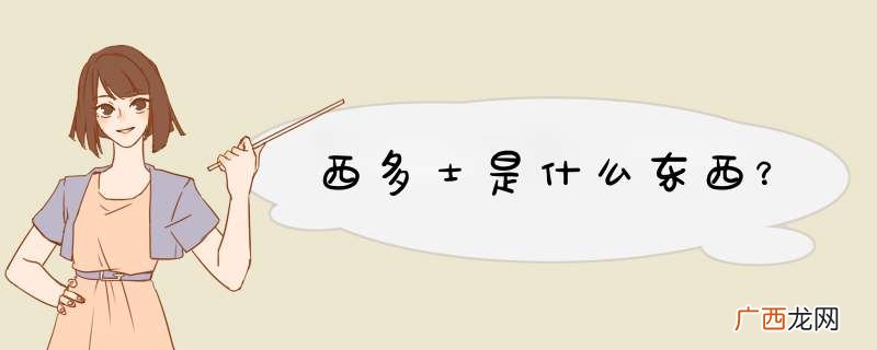 西多士是什么东西？