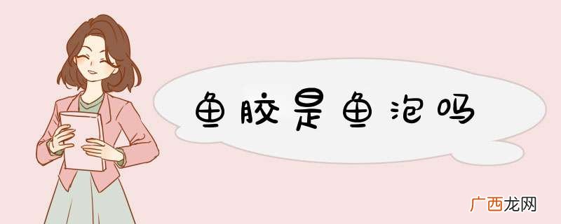 鱼胶是鱼泡吗