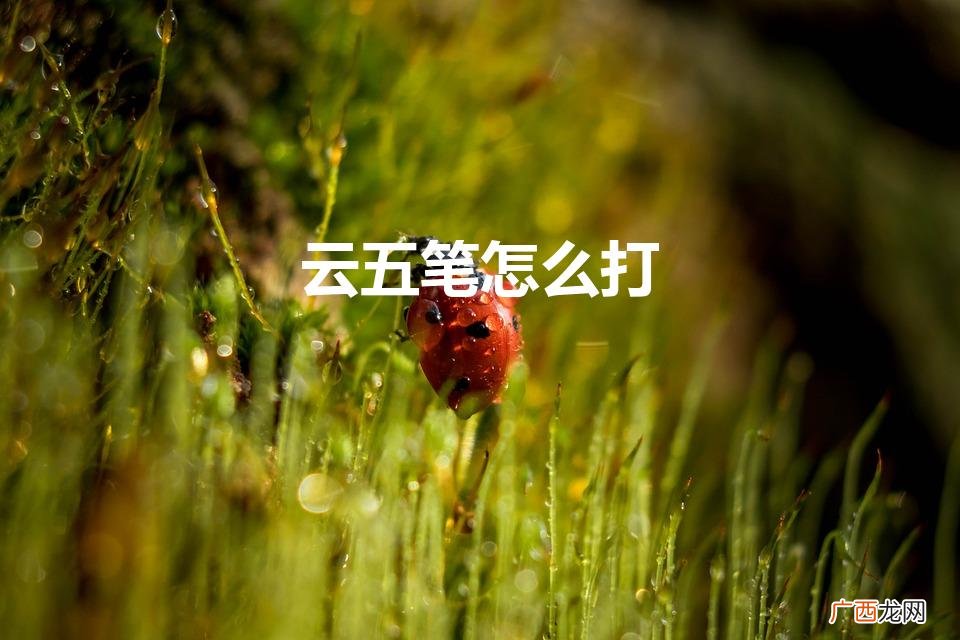 云五笔怎么打字 云五笔怎么打