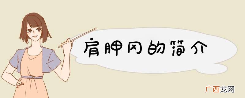 肩胛冈的简介