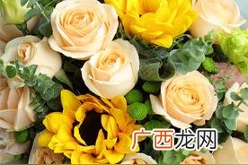 黄玫瑰的花语含义 黄玫瑰代表什么意思