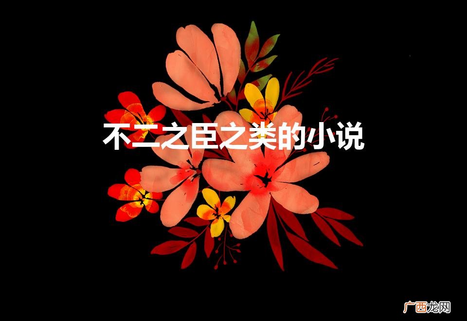 不二之臣之类的小说（不二之臣内似的文)