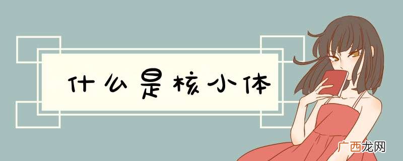 什么是核小体