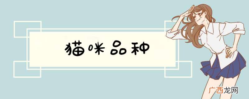 猫咪品种