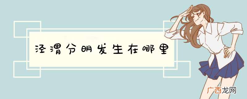 泾渭分明发生在哪里