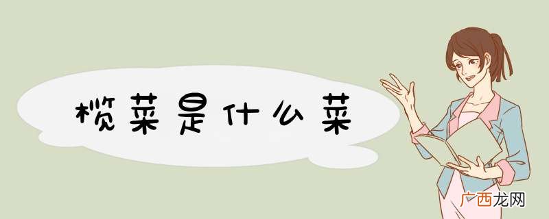 榄菜是什么菜