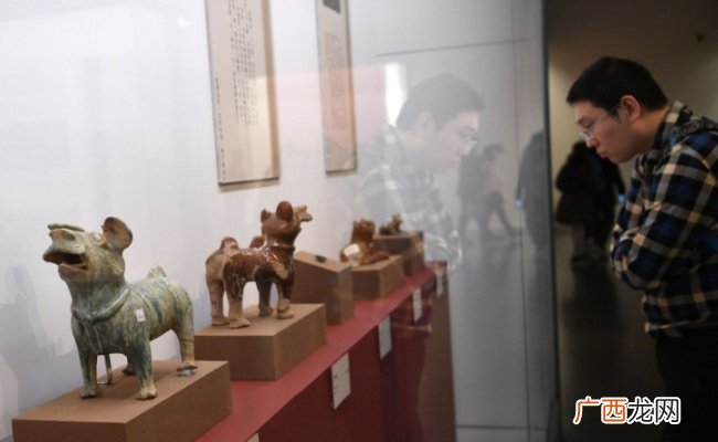 国博为什么禁止穿拖鞋进入参观