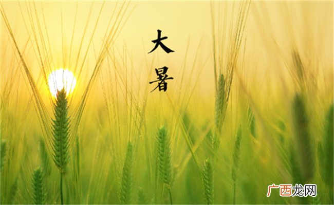 ?今日夏天最后一个节气大暑来了 有哪些特点呢