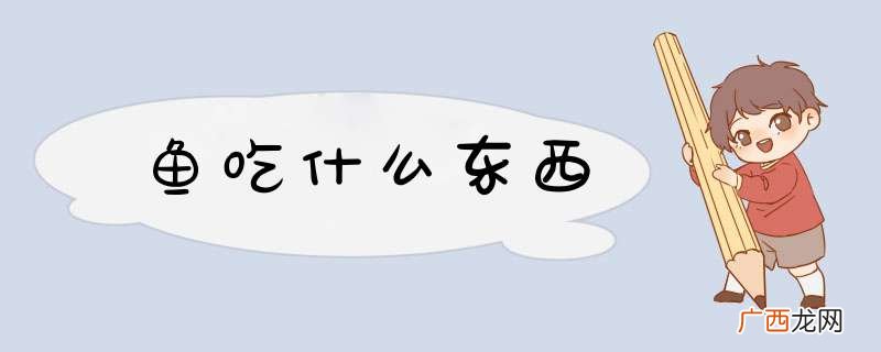 鱼吃什么东西