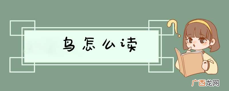 鸟怎么读
