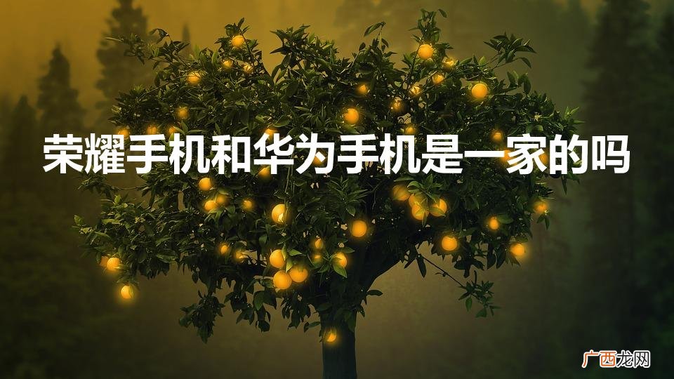 华为和荣耀是一家的吗 荣耀手机和华为手机是一家的吗