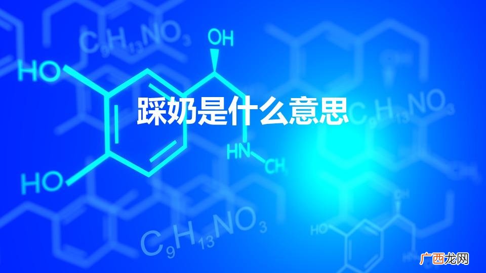 猫咪踩奶是什么意思 踩奶是什么意思