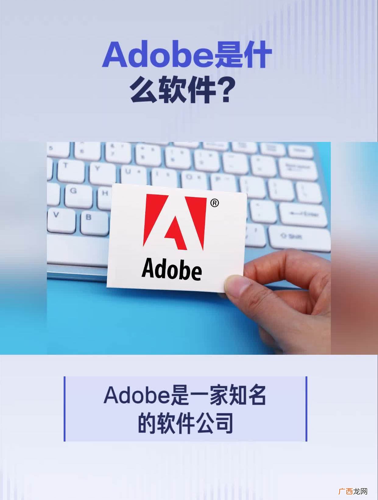 adobe的意思及其主要应用场景 adobe是什么软件