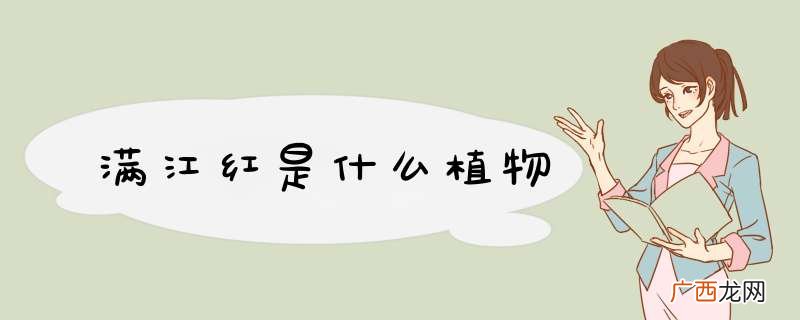满江红是什么植物