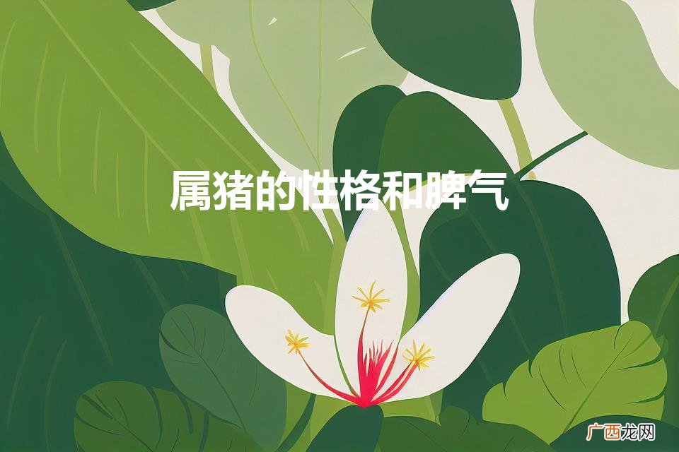属猪人性格特点及运势 属猪的性格和脾气