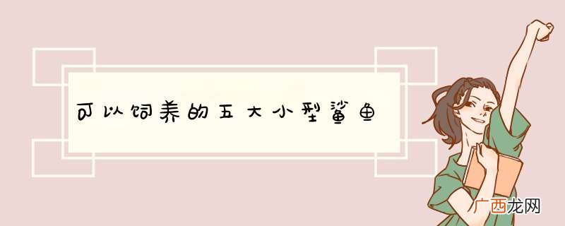 可以饲养的五大小型鲨鱼