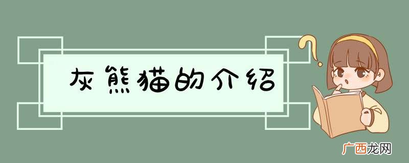 灰熊猫的介绍