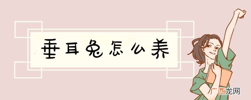 垂耳兔怎么养