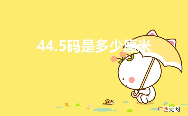 44.5码的鞋是多少厘米 44.5码是多少厘米