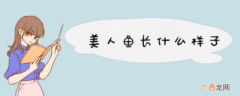 美人鱼长什么样子