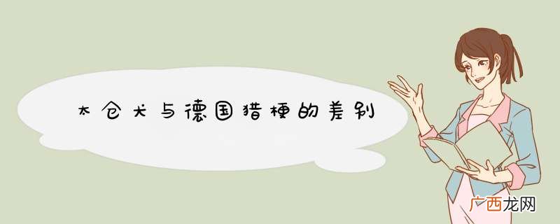 太仓犬与德国猎梗的差别