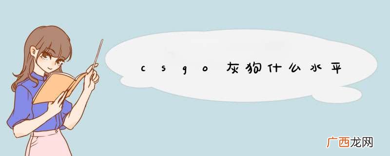 csgo灰狗什么水平