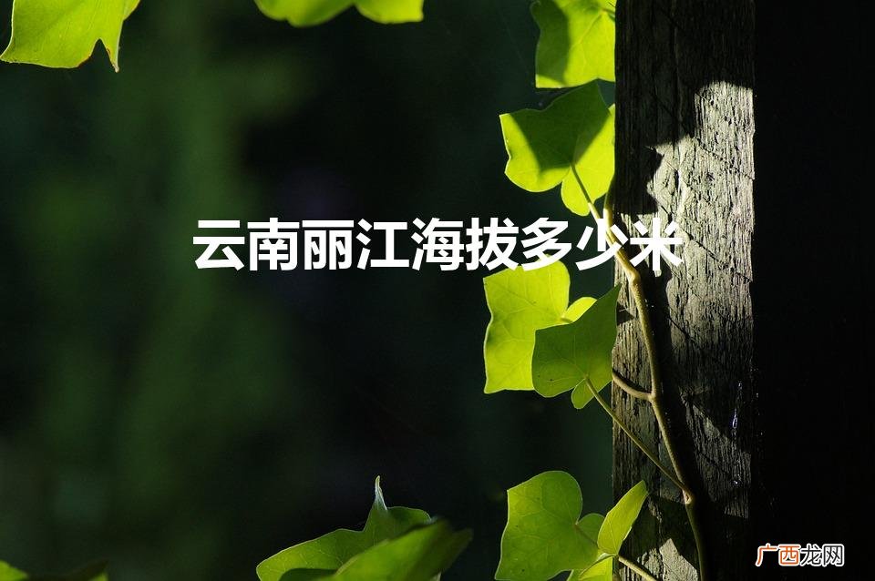 丽江古城的海拔高度是多少 云南丽江海拔多少米