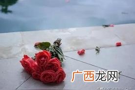 十三朵玫瑰的象征意义 13朵玫瑰代表什么意思