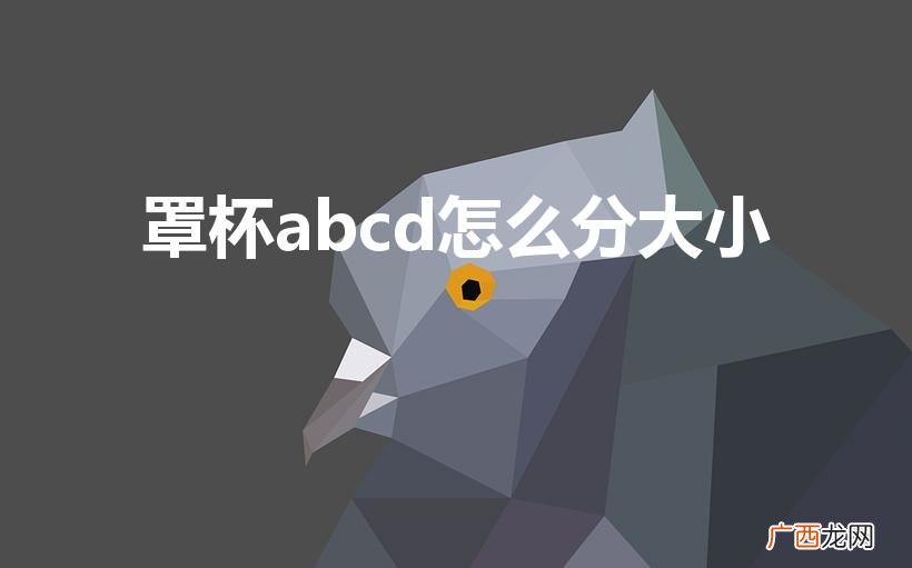 胸围abcd怎么分大小 罩杯abcd怎么分大小