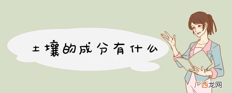 土壤的成分有什么