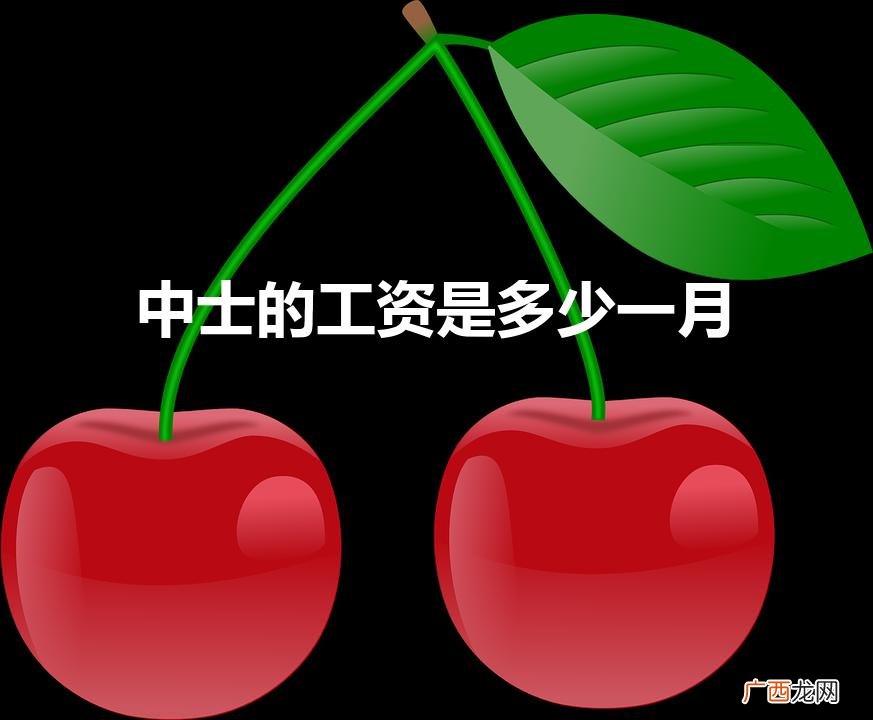 中士的工资是多少一月（军官一个月工资多少)