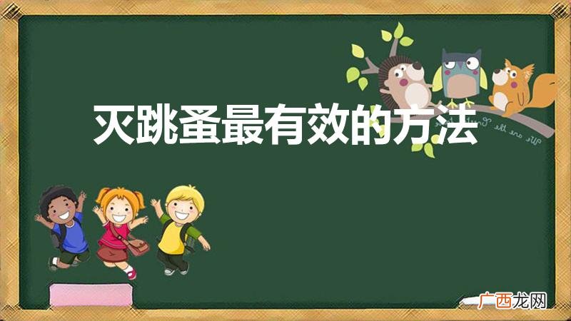 如何最有效的消灭跳蚤 灭跳蚤最有效的方法
