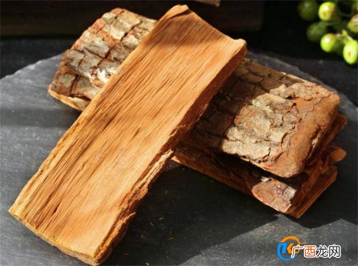 树皮野外求生价值巨大 作为一种安全 营养的生存食物你会吃吗