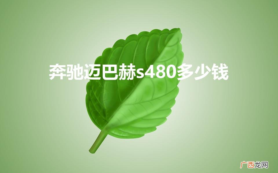 迈巴赫最便宜的一款 奔驰迈巴赫s480多少钱