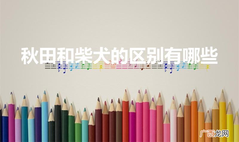 秋田犬和柴犬的区别是什么 秋田和柴犬的区别有哪些