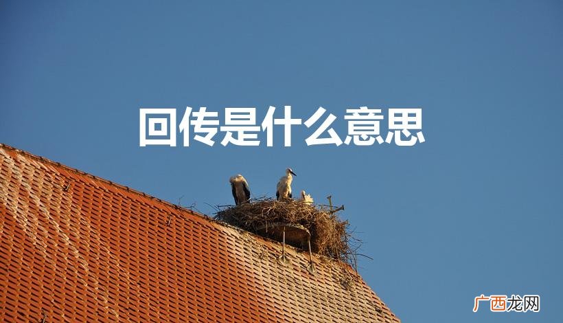 足球规则中的回传是什么意思 回传是什么意思