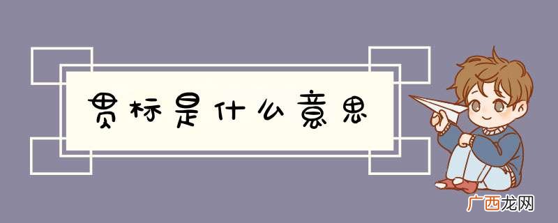 贯标是什么意思