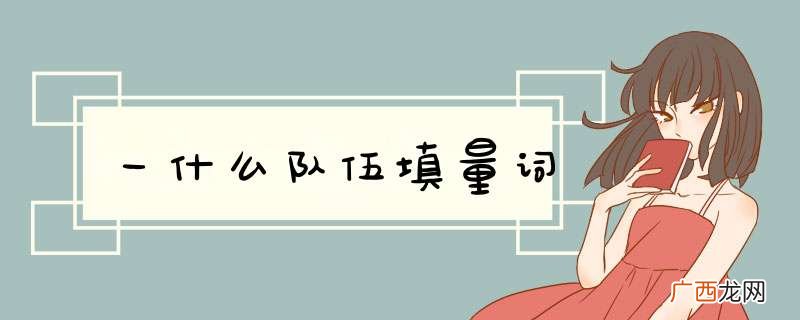 一什么队伍填量词